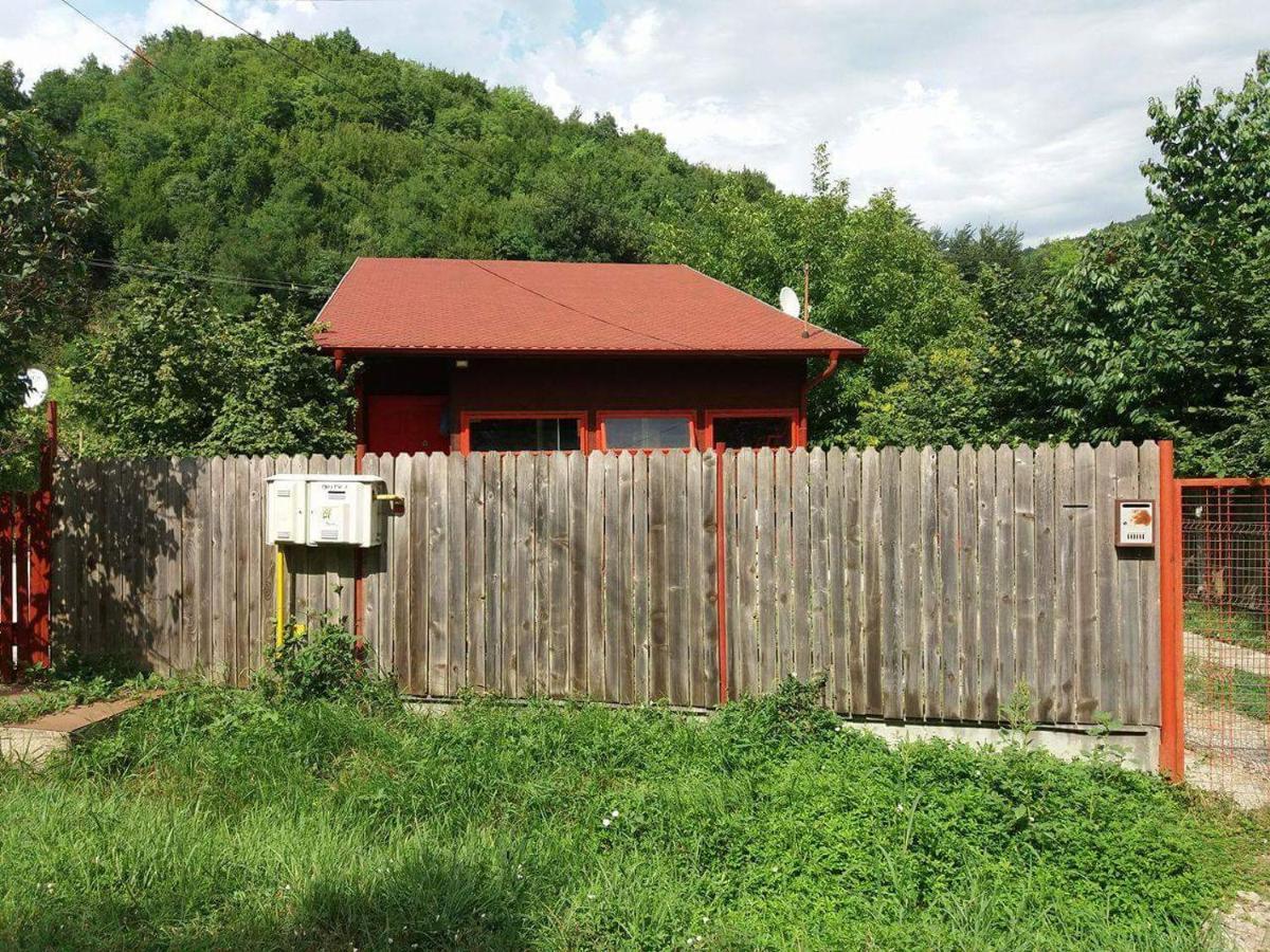 Canadian House Sărata-Monteoru Exterior foto