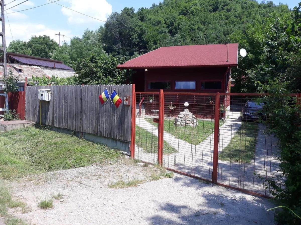 Canadian House Sărata-Monteoru Exterior foto
